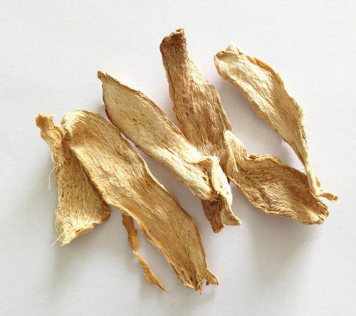 生姜片